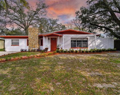 4416 Bass Street, Tampa