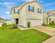 10130 Mangrove Well Road, Sun City Center image