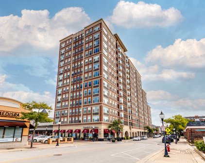 77 S Evergreen Avenue Unit #806, Arlington Heights