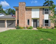 8226 Autumn Willow Drive, Tomball image