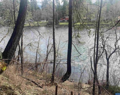 25285 Santiam Park Rd, Lyons