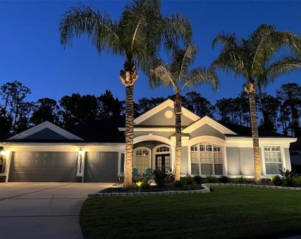 27027 Brush Creek Way, Wesley Chapel