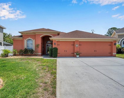 2518 Eagles Crest Court, Holiday