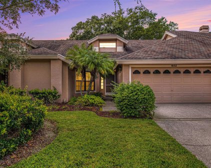 16152 Craigend Place, Odessa