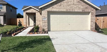 312 Riverwood Village Lane, Sealy