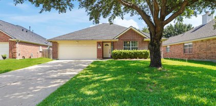 20014 Still Manor Court, Katy