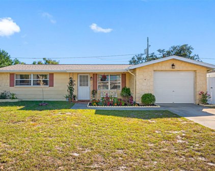 5544 Mosaic Drive, Holiday