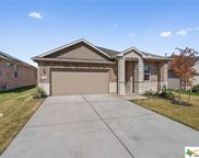221 Charles Trail, Georgetown image