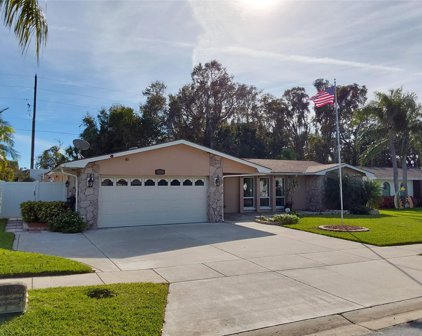 2115 Seagull Drive, Clearwater