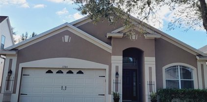 17304 Blooming Fields Drive, Land O' Lakes