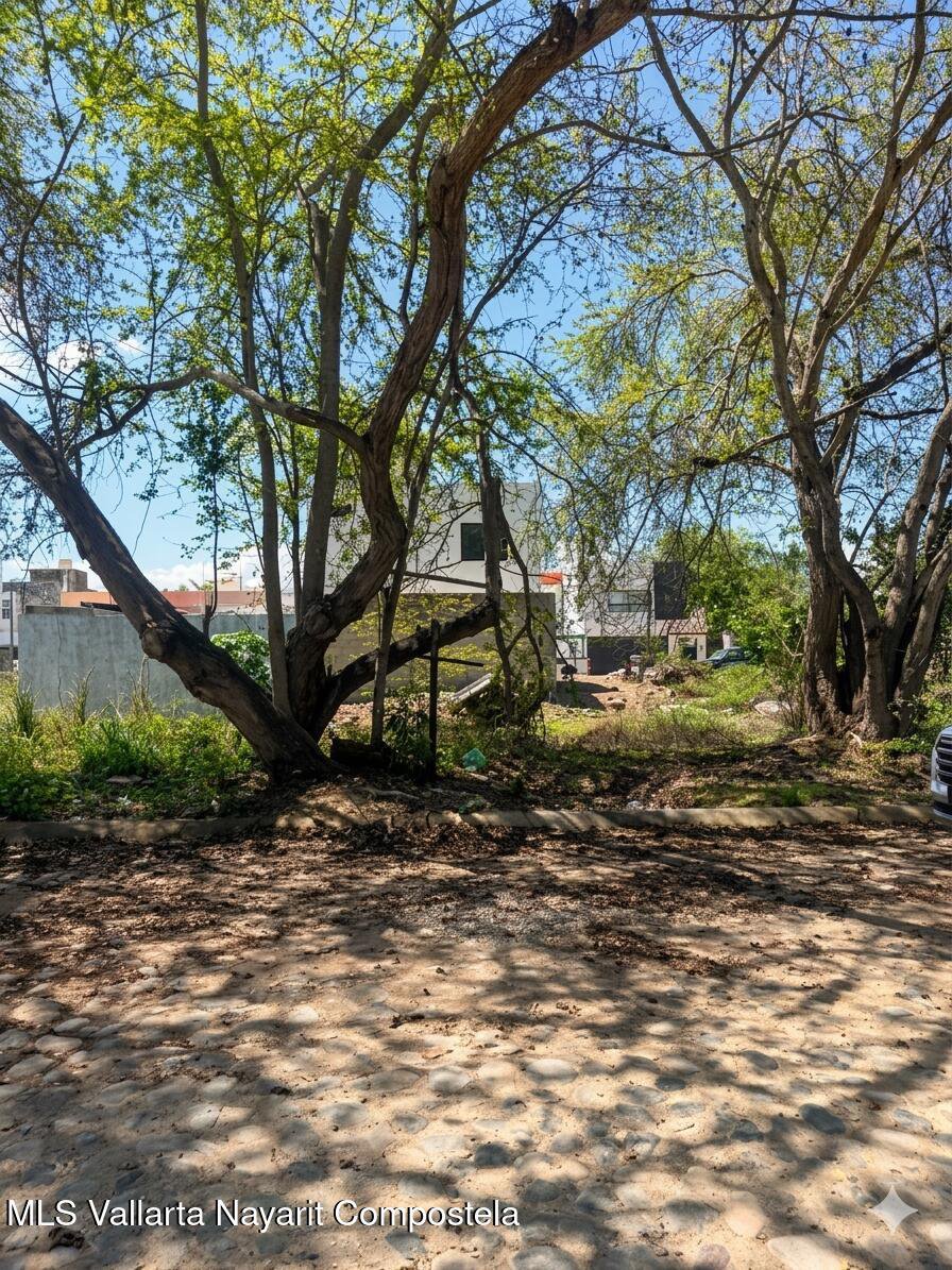 114 TABAQUILLO, Puerto Vallarta, JALISCO N/A — Nuevo Ixtapa