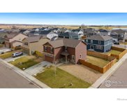 3611 Torch Lily Street, Wellington image