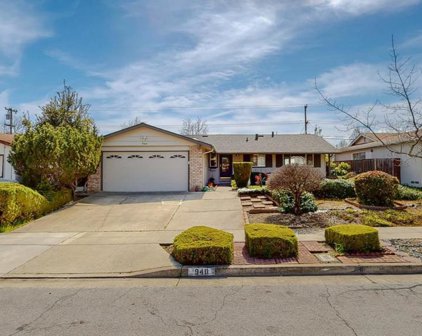 940 Planetree Place, Sunnyvale
