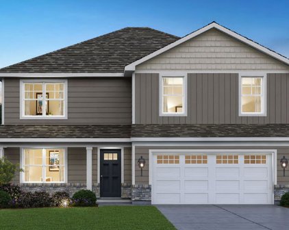 14941 S Starflower Circle, Plainfield