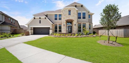 21311 Blue Wood Aster Court, Cypress