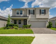 10814 Whitland Grove Drive, Riverview image