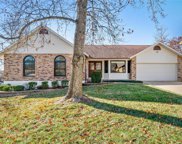 1361 Timothy Ridge  Drive, St Charles image