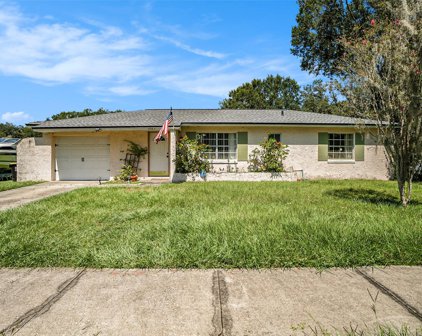 5087 Black Birch Trail, Mulberry