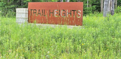 4 Trail Heights  Road, Ellicottville-043689