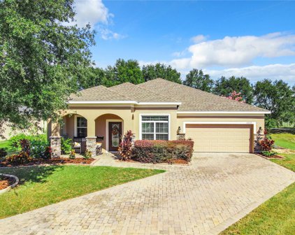 10037 Stockbridge Street, Clermont