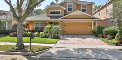 701 Ravenshill Way, Deland