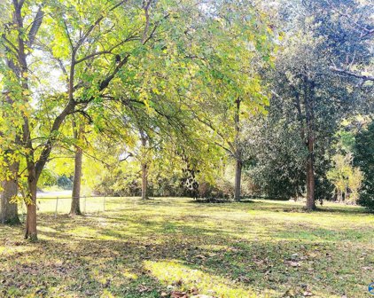 919 Newton Street, Gadsden