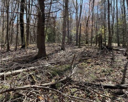 133 Greenbriar Road, Beech Mountain