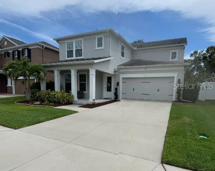111 Philippe Grand Court, Safety Harbor