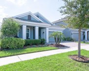 4817 Ballantrae Boulevard, Land O' Lakes image