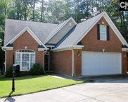 900 Fairline Court, Chapin image