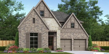 9707 War Party Trail, San Antonio