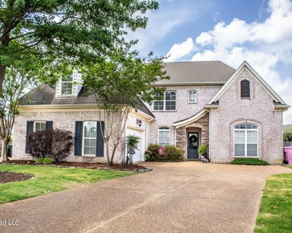 2788 Oliver Cove, Southaven