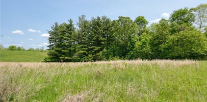 63660 Wintergreen Road, Lore City