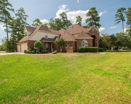 25307 Piney Bend Court, Spring
