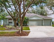 17703 Emerald Green Place, Tampa image