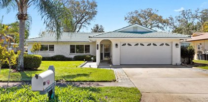 1411 Tallahassee Drive, Tarpon Springs