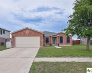 2506 Mikulec Drive, Killeen image