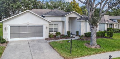 18718 Grand Club Drive, Hudson