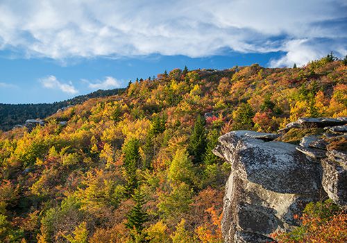 Blowing Rock Real Estate