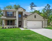 11019 Water Tower Drive, Needville image