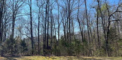7356 Barrington Ridge  Drive, Indian Land