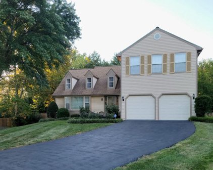 13152 Ruby Lace Ct, Herndon