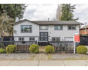 11959 Laity Street, Maple Ridge image