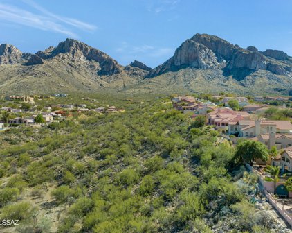 10126 N Bighorn Butte, Oro Valley