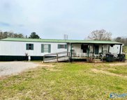 424 County Road 556, Trinity image