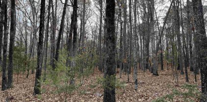 Lot 307 Tannenbaum Rd, Drasco