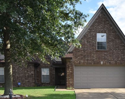 10563 Rhapsody Cove, Walls