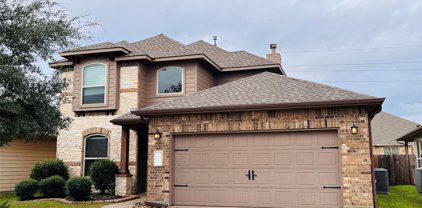 25435 Dappled Filly Drive, Tomball