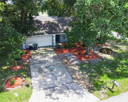 3878 Feather Drive, Lakeland