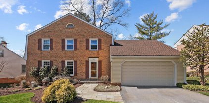 1111 Pipestem Pl, Potomac